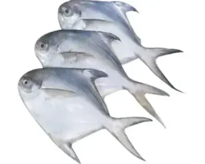 rupchanda