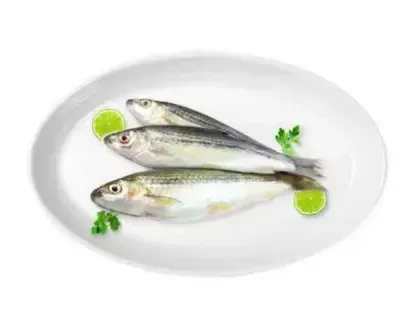 tatkini fresh fish