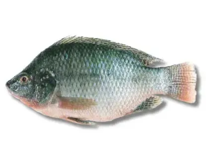 telapiya fresh