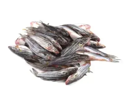 tengra fresh